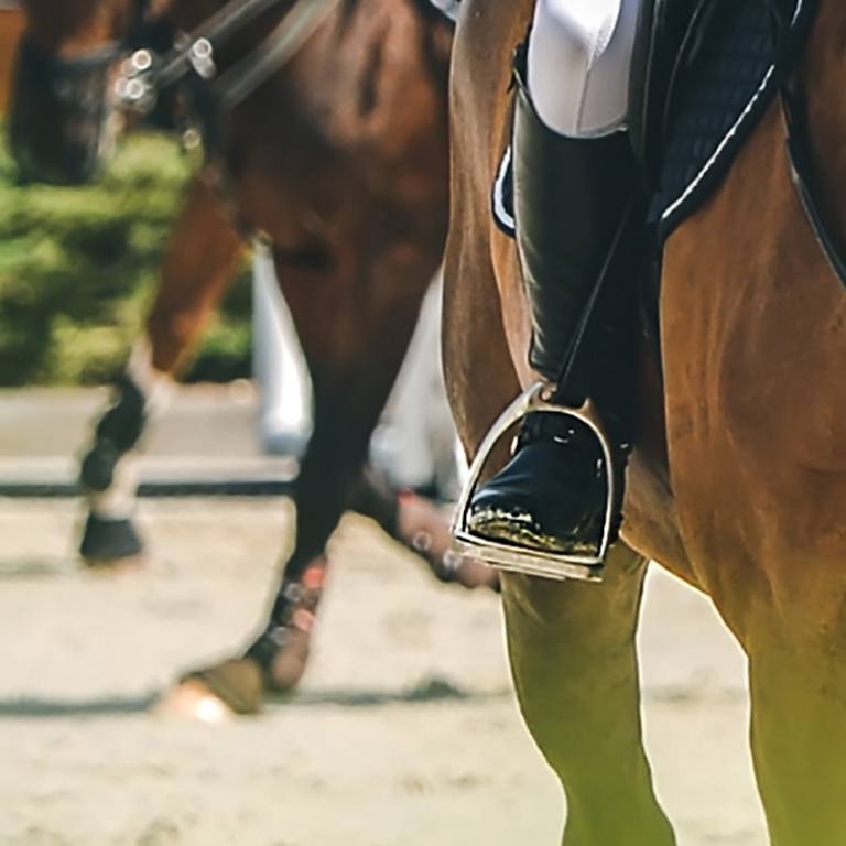 AUS trainers horses practice