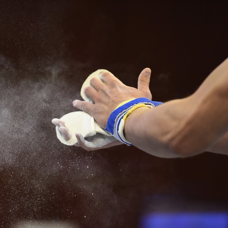 Gymnastics Australia coaches and officials