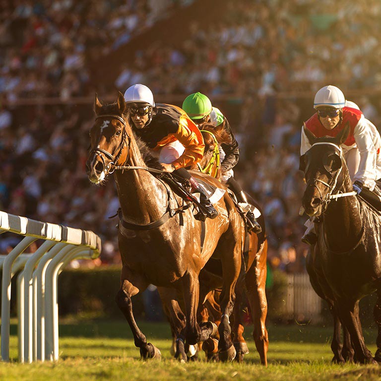 AUS trainers racing